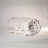 The Cambric Cotton Comforter